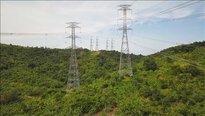 Bài 6: Đội Truyền tải điện Tánh Linh: Tiếp bước 15 năm quản lý vận hành lưới điện truyền tải an toàn
